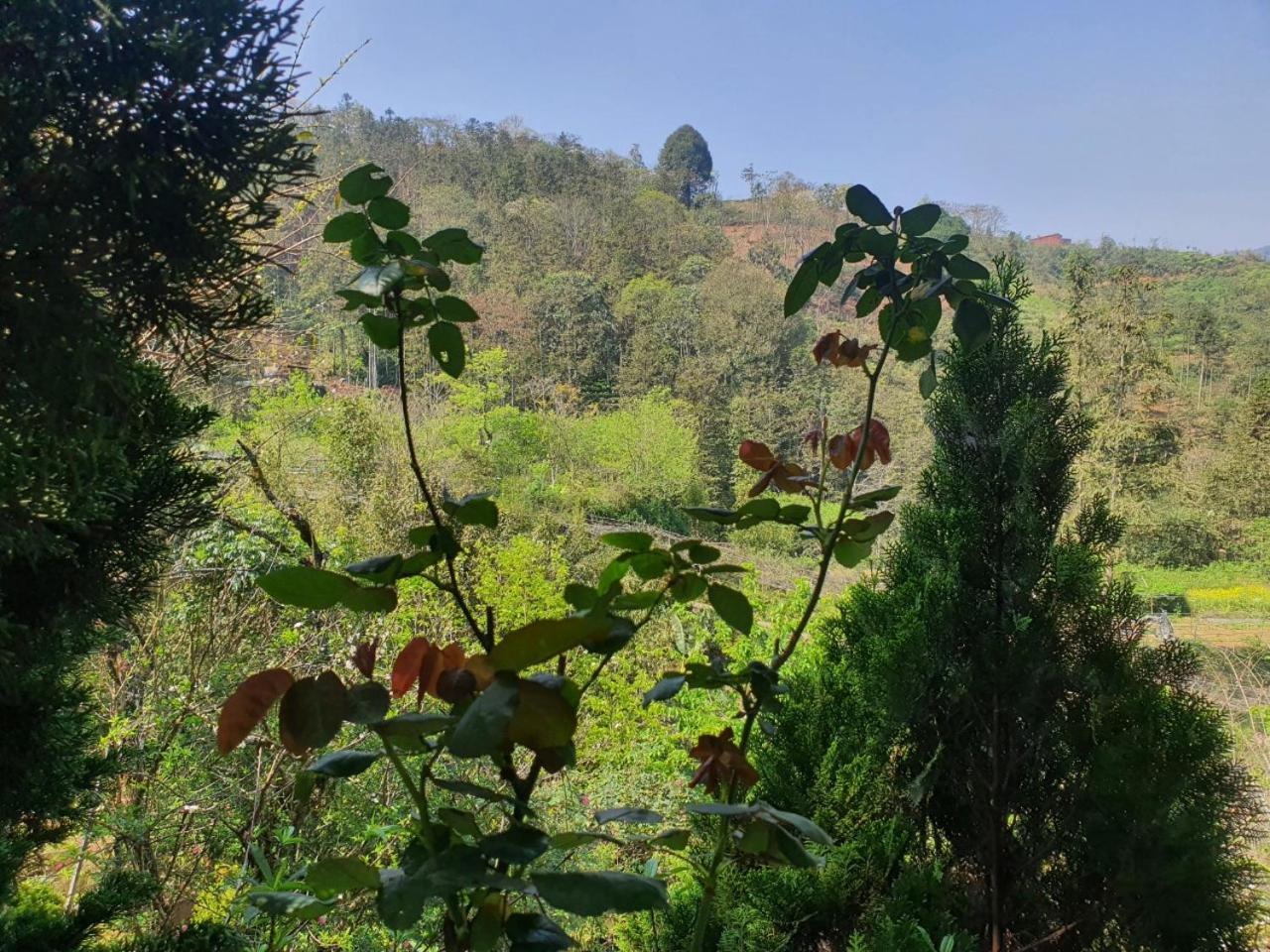 Sapa Garden Bungalow Dış mekan fotoğraf