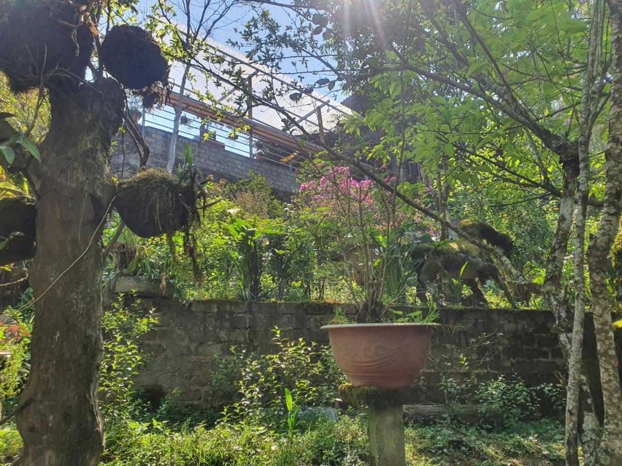 Sapa Garden Bungalow Dış mekan fotoğraf