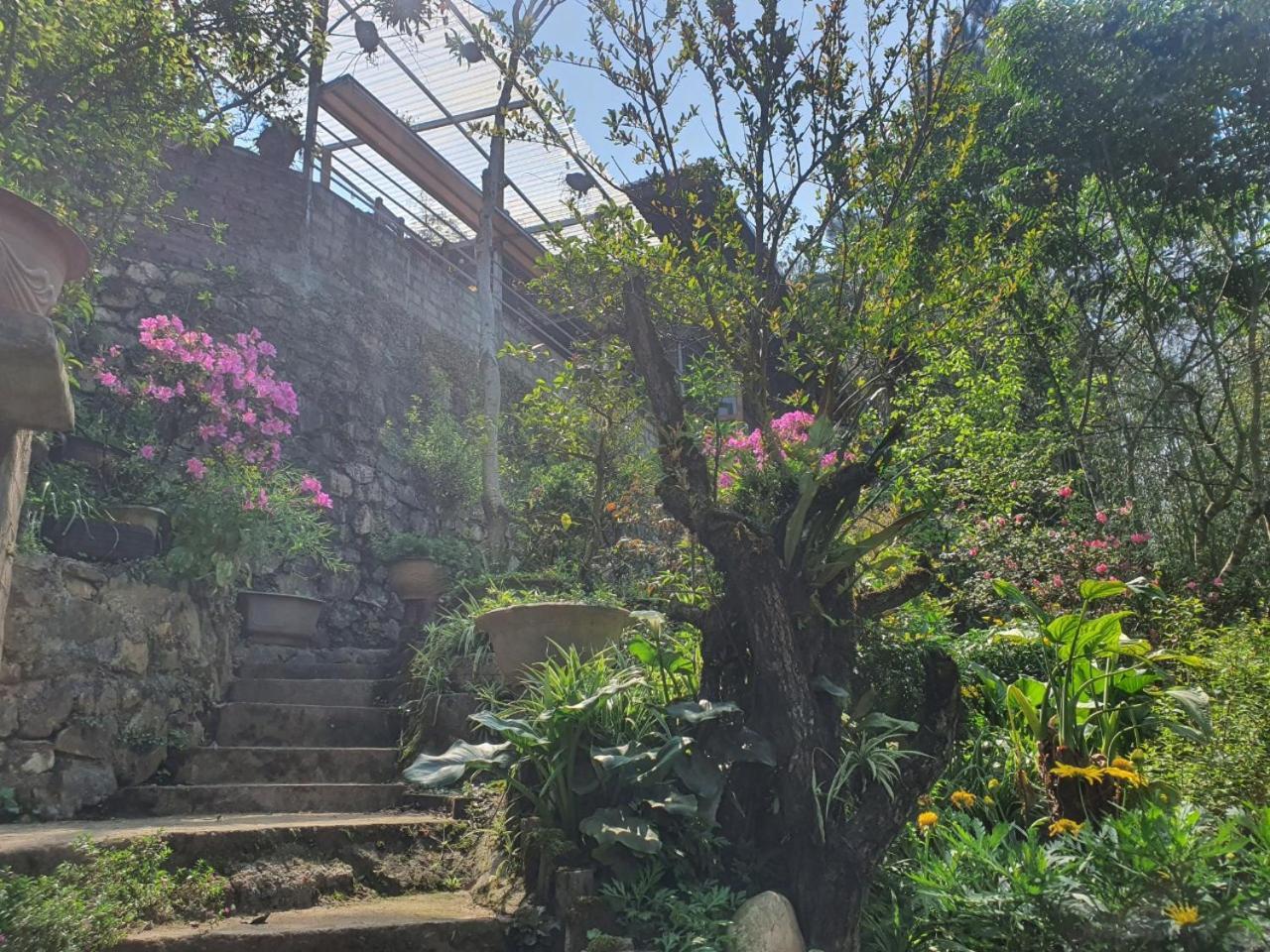 Sapa Garden Bungalow Dış mekan fotoğraf