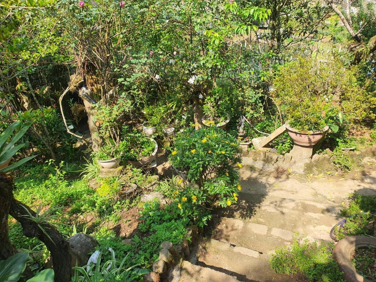 Sapa Garden Bungalow Dış mekan fotoğraf
