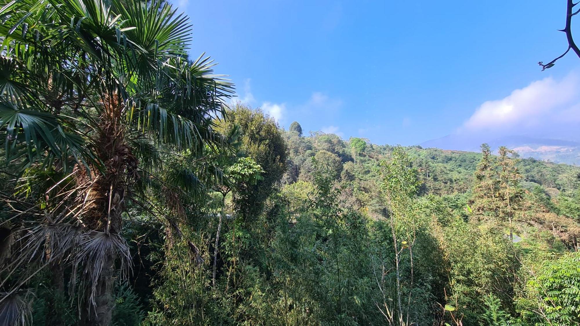 Sapa Garden Bungalow Dış mekan fotoğraf